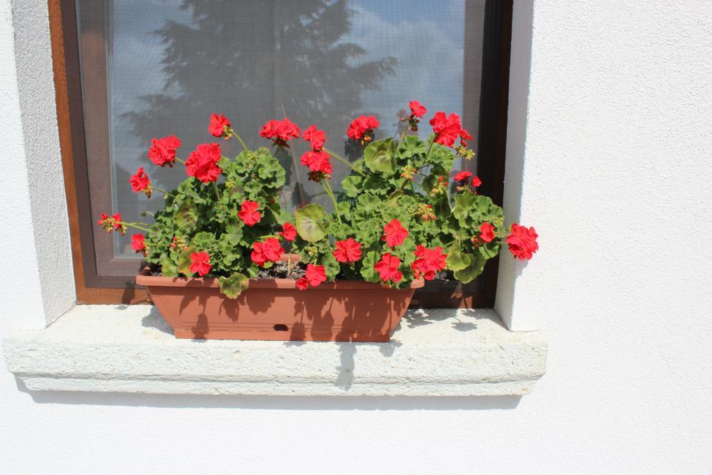 Hotel Pillango Vendeghaz Tállya Zewnętrze zdjęcie
