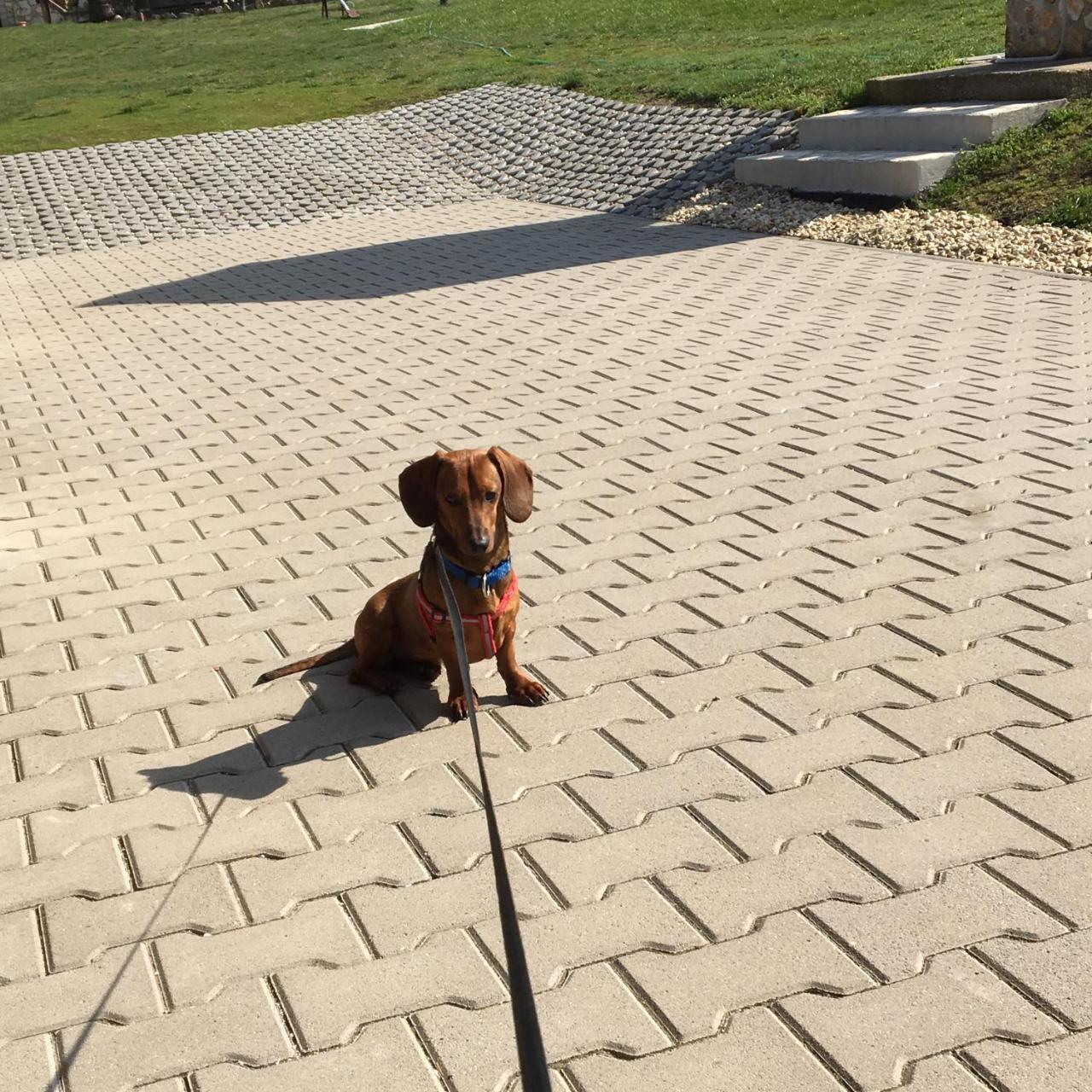 Hotel Pillango Vendeghaz Tállya Zewnętrze zdjęcie